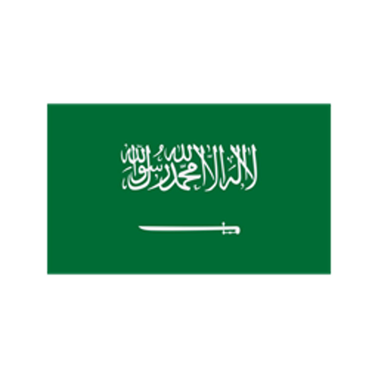 7345-Saudia-Arabia-1