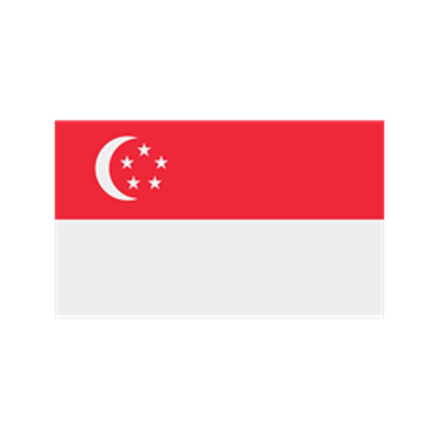 7347-Singapore-1